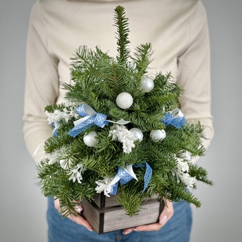 Новогодняя композиция Загадай желание